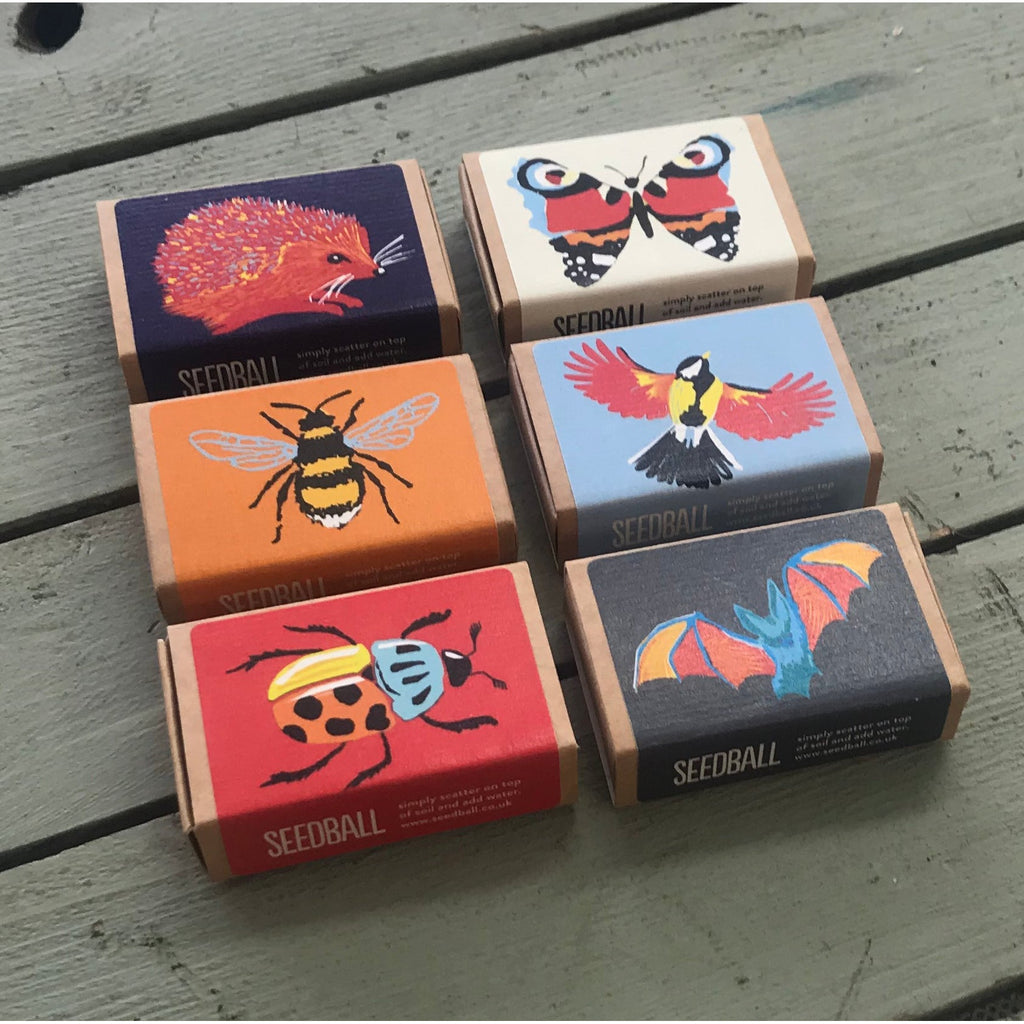 Wildlife Collection Flower Seed Boxes